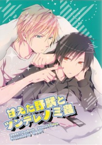 Boy Love Doujinshi