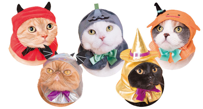 Kitan Club Cat Hats Costume Halloween