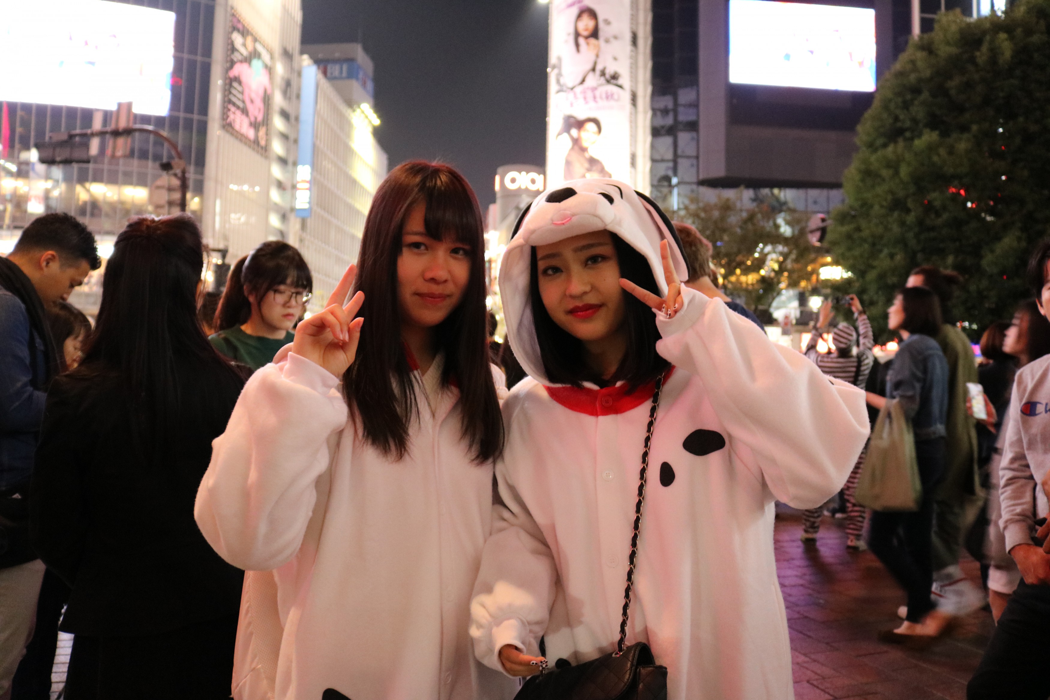 Halloween Costume Shibuya Dog Kigurumi