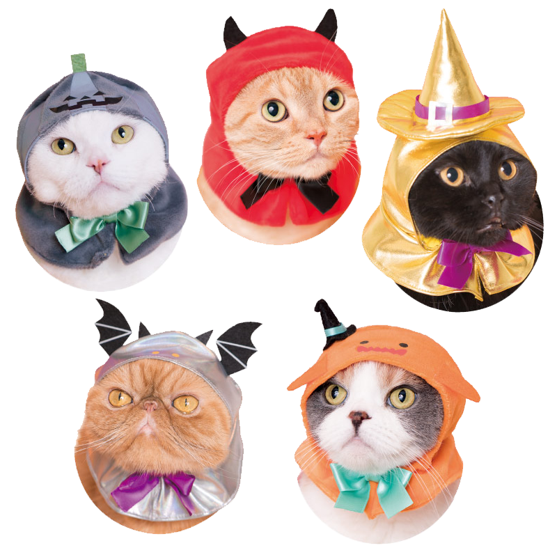 Halloween Kitties Party Colors