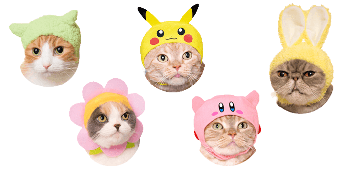 Kitty Hats