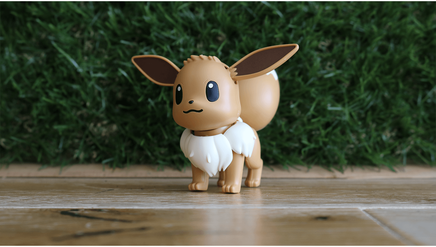 Eevee Completed