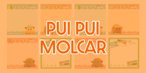 Read more about the article All About Pui Pui Molcar
