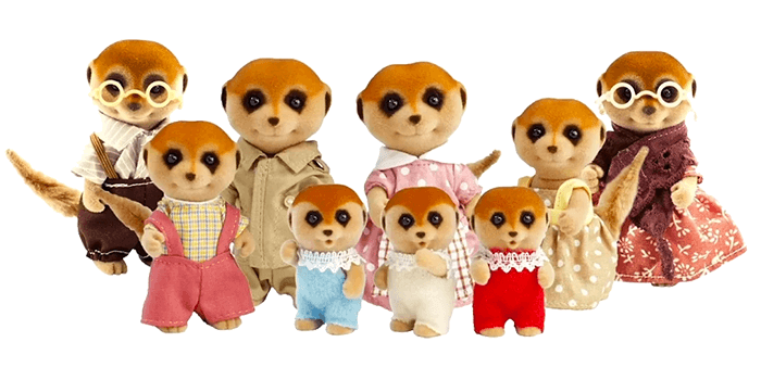 Meerkat Family