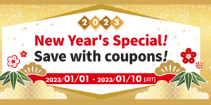 Read more about the article Happy New Year! Get special coupons on our site!