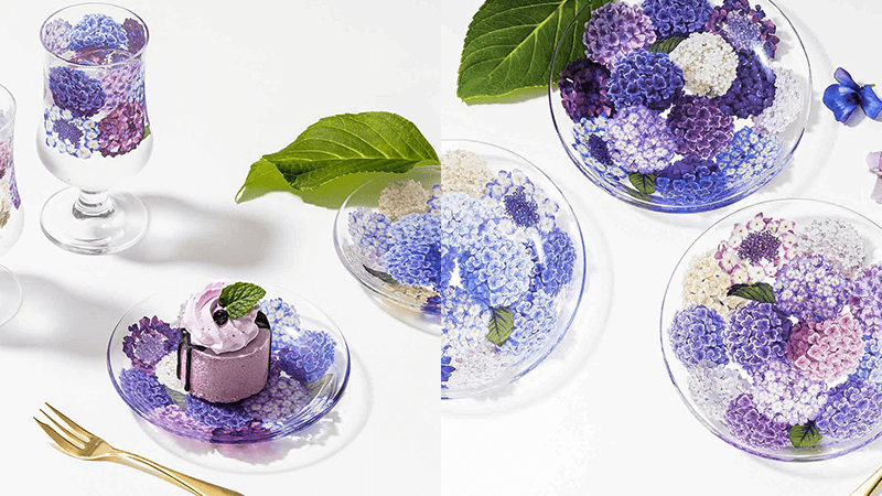 日本绣球花玻璃器皿