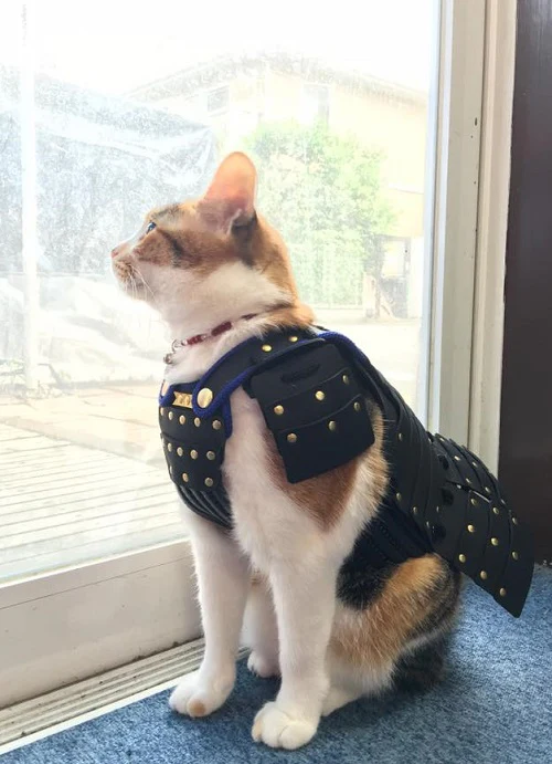 Sling Carrier for Pets