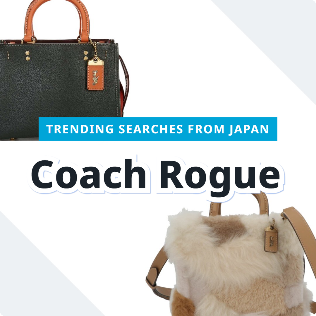 Coach Rogue Bag Picks | FROM JAPAN